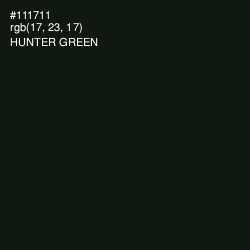 #111711 - Hunter Green Color Image